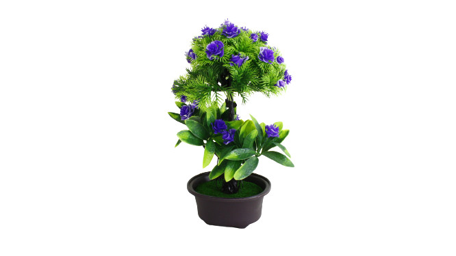 Potted Flowers